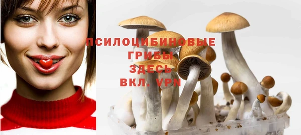 ALPHA PVP Горнозаводск