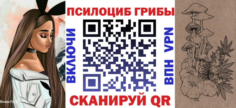 Псилоцибиновые грибы MAGIC MUSHROOMS  Купить закладки  Тихорецк 
